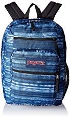 JanSport Big Student Backpack- Discontinued Colors (Multi Variegated Stripe)