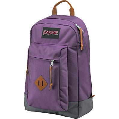 Jansport Reilly Purple Frost Backpack